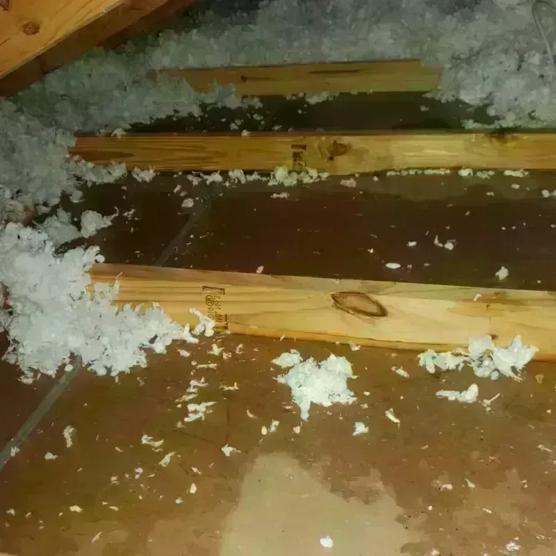 Attic Water Damage in Oak Park, CA