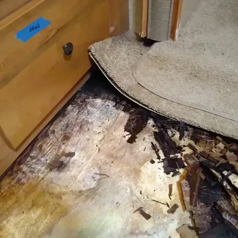 Wood Floor Water Damage in Oak Park, CA